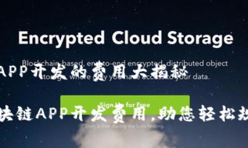 区块链APP开发的费用大揭秘

揭秘区块链APP开发费用，助您轻松规划预算