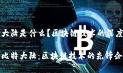 比特大陆是什么？区块链技术的深度解析揭秘比