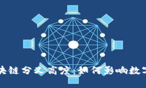 深入了解区块链分叉高度：如何影响数字货币的未来