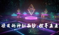 揭开游戏区块链项目的神秘面纱：探寻未来的数