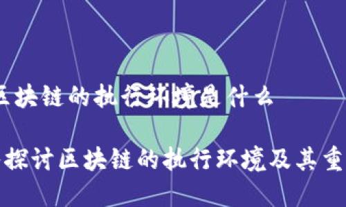 # 区块链的执行环境是什么

深入探讨区块链的执行环境及其重要性
