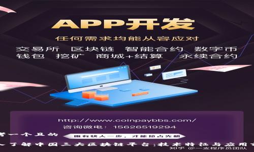 思考一个且的

深入了解中国三大区块链平台：技术特征与应用前景