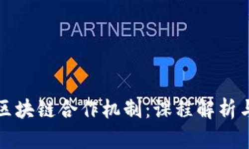 深入了解区块链合作机制：课程解析与实用案例