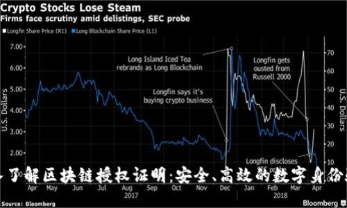 深入了解区块链授权证明：安全、高效的数字身份验证