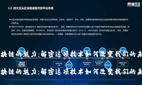区块链的魅力：解密这项技术如何改变我们的未来

区块链的魅力：解密这项技术如何改变我们的未来