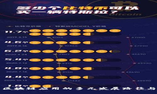 揭示区块链应用的多元发展路径与前景