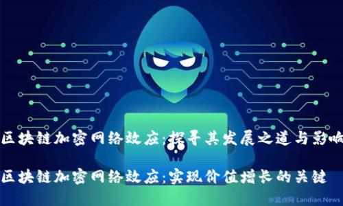 区块链加密网络效应：探寻其发展之道与影响

区块链加密网络效应：实现价值增长的关键