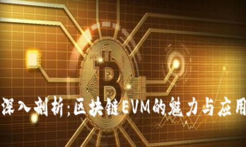 深入剖析：区块链EVM的魅力与应用