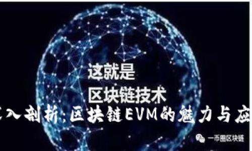 深入剖析：区块链EVM的魅力与应用
