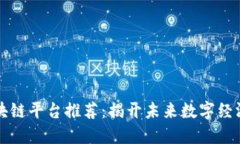 热门区块链平台推荐：揭开未来数字经济的面纱