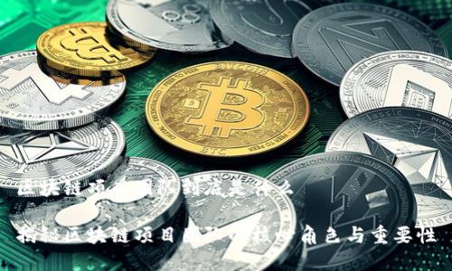 区块链项目团队到底是什么

揭秘区块链项目团队的核心角色与重要性