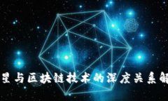 明星与区块链技术的深度关系解析