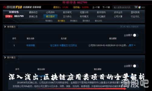 深入浅出：区块链应用类项目的全景解析