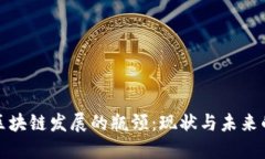 探索区块链发展的瓶颈：现状与未来的挑战