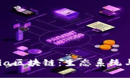 ### Chia区块链：生态系统与未来潜力