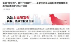 同构区块链的概念解析在当前的信息技术发展潮