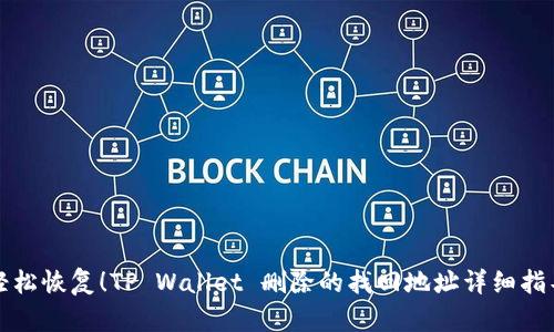 轻松恢复！TP Wallet 删除的找回地址详细指导