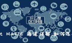 TPWallet MATIC 通道详解：如何选择和使用