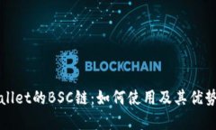 TPWallet的BSC链：如何使用及其优势解析