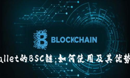 TPWallet的BSC链：如何使用及其优势解析