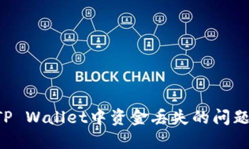 如何解决TP Wallet中资金丢失的问题：全面指南