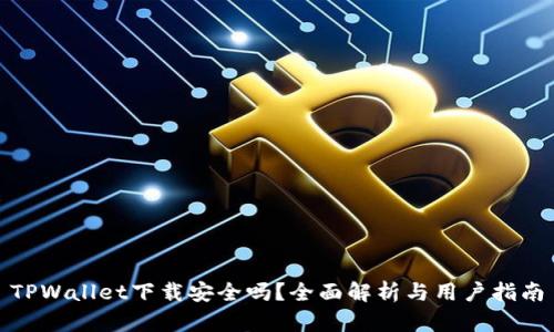 TPWallet下载安全吗？全面解析与用户指南