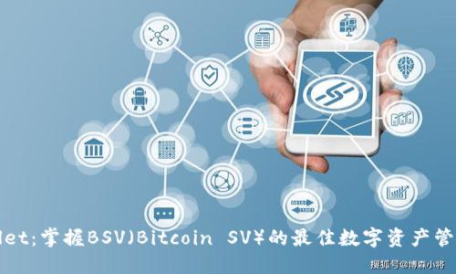 TPWallet：掌握BSV（Bitcoin SV）的最佳数字资产管理方案