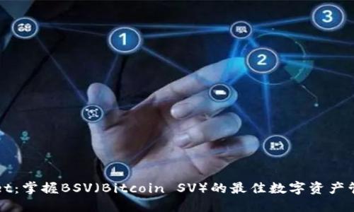 TPWallet：掌握BSV（Bitcoin SV）的最佳数字资产管理方案