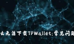 为什么无法下载TPWallet：常见问题解析