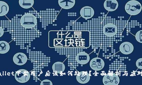 TPWallet下架用户后该如何处理？全面解析与应对方案