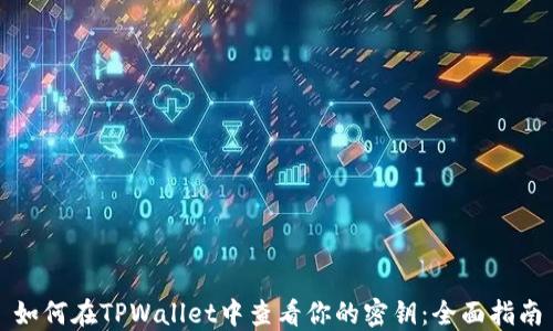 
如何在TPWallet中查看你的密钥：全面指南