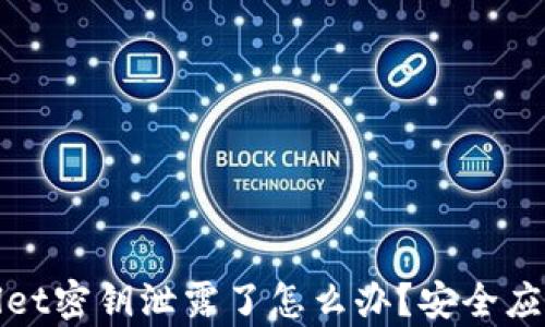 
tpwallet密钥泄露了怎么办？安全应对指南