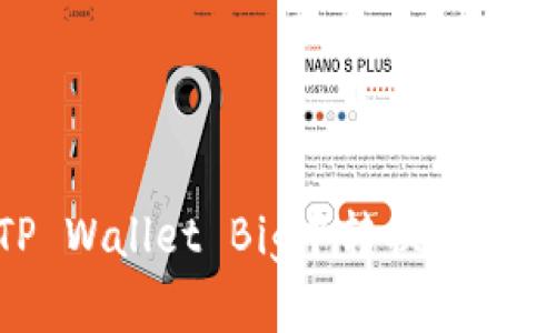 如何在TP Wallet Big中转换BNB：完整指南