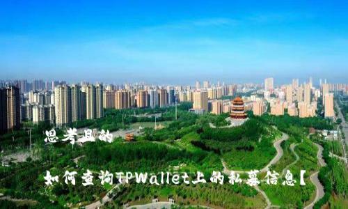 思考且的

如何查询TPWallet上的私募信息？
