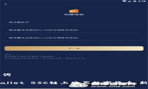 思考和关键词

如何在TPWallet BSC链上购买数字货币：新手完整指南