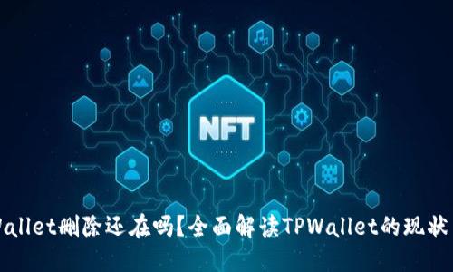 : TPWallet删除还在吗？全面解读TPWallet的现状与未来