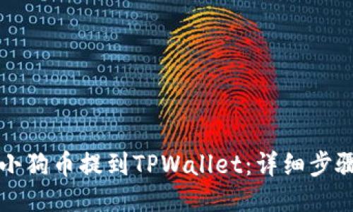 如何将小狗币提到TPWallet：详细步骤与指南