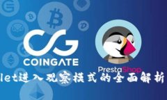 TPWallet进入观察模式的全面解析与指南