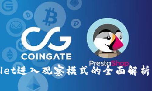 TPWallet进入观察模式的全面解析与指南