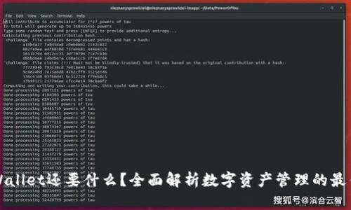 有TPWallet还要什么？全面解析数字资产管理的最佳选择