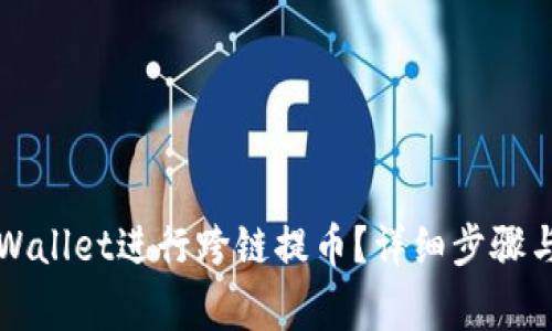 如何在TPWallet进行跨链提币？详细步骤与注意事项