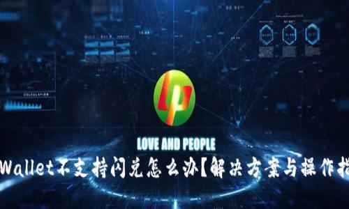 TPWallet不支持闪兑怎么办？解决方案与操作指南