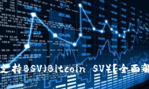 TPWallet如何支持BSV（Bitcoin SV）？全面解析及用户指南