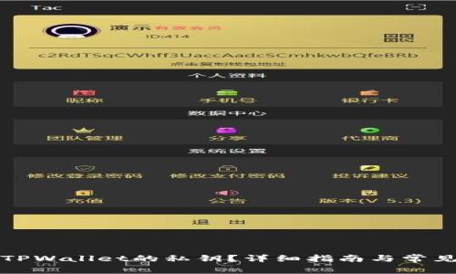 如何查看TPWallet的私钥？详细指南与常见问题解答