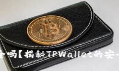 TPWallet安全吗？揭秘TPWallet的安全性与可靠性