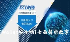 普通下载TPWallet安全吗？全面解析数字钱包安全性