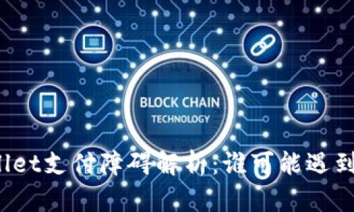 TPWallet支付障碍解析：谁可能遇到问题？