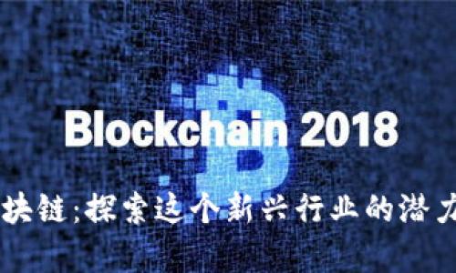 启迪区块链：探索这个新兴行业的潜力与应用