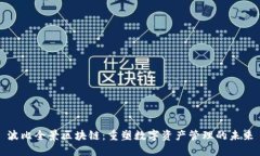 波比全景区块链：重塑数字资产管理的未来