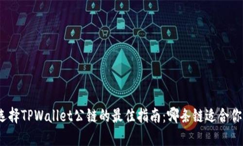 选择TPWallet公链的最佳指南：哪条链适合你？